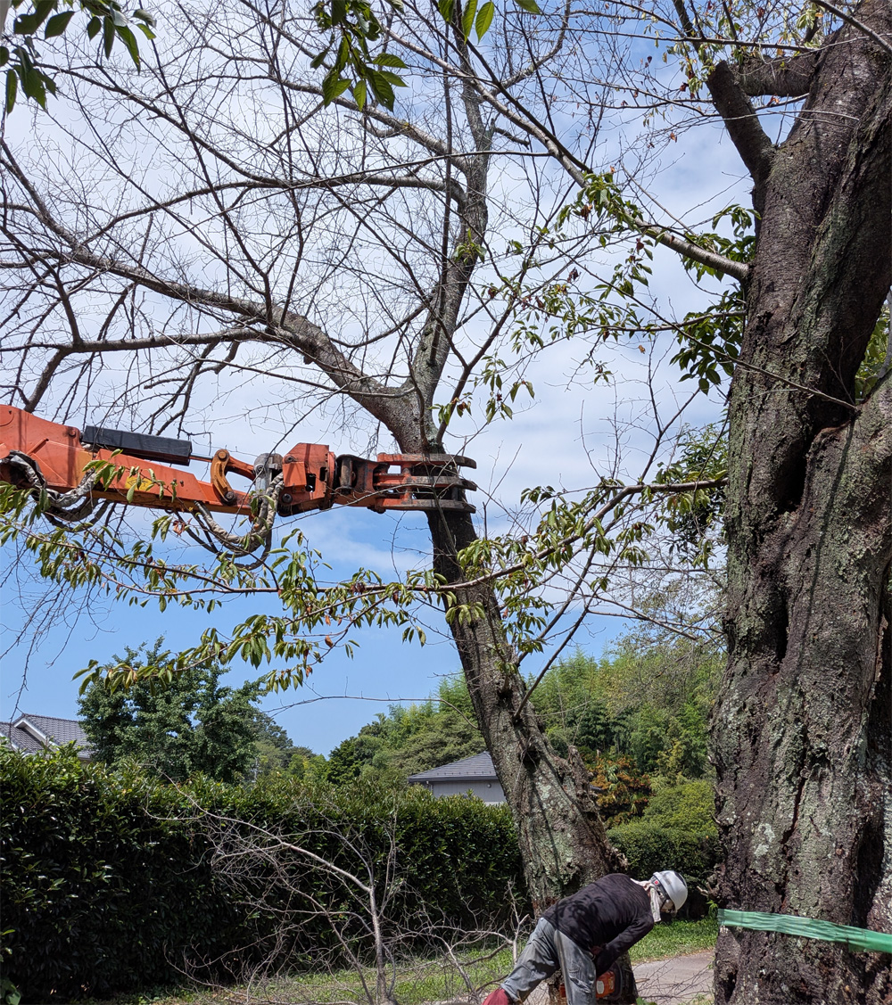 実績3 (Landscape Project 3)