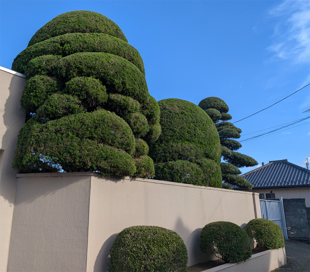 庭園管理 (Image of Stone Placement)